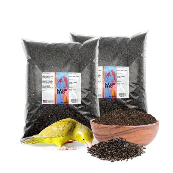 Morning Bird Nyjer Seed for Birds 18 lbs (2-Pack, 9 lbs Each) - High Energy Bird Food with Rich in Vitamins and Supplements – Ideal for Breeding & Molting Seasons Nyjer Seed for All Seed Eating Birds