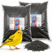Morning Bird Nyjer Seed for Birds 18 lbs 2-Pack, 9 lbs Each - Bird Food for Finches, Canaries & Other Seed-Eating Birds   High-Energy Seed for Daily Nutrition