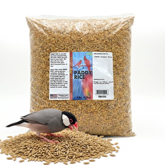 Morning Bird Paddy Rice 9 lbs – Bird Food for Seed-Eating Birds ...