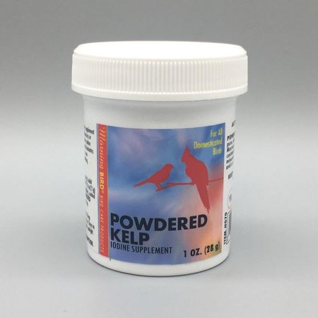 Morning Bird Powdered Kelp Nutritional Supplement for Birds