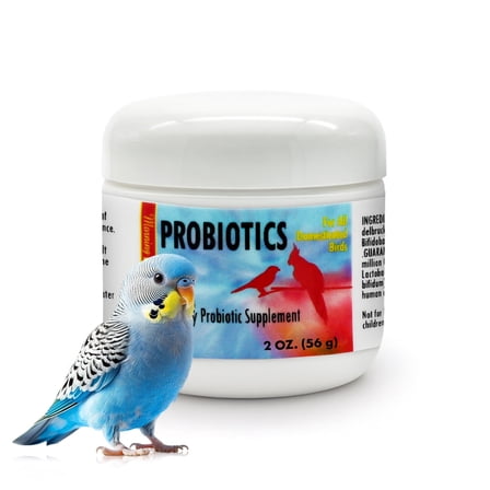 Morning Bird Probiotics for Birds 2 Oz – Digestive Health Supplement Supporting Gut Balance, Nutrient Absorption & Immune Support – Easy Mix Powder Supplement for All Bird Species