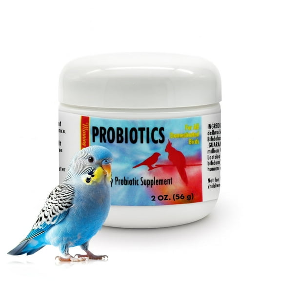 Morning Bird Probiotics for Birds 2 Oz – Digestive Health Supplement Supporting Gut Balance, Nutrient Absorption & Immune Support – Easy Mix Powder Supplement for All Bird Species