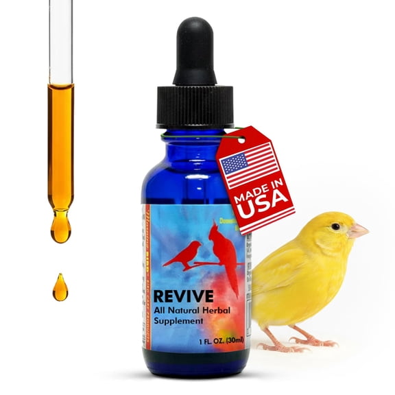 Morning Bird Revive 1 fl oz – Herbal Immune Support for Birds - Improved Liquid Formula for Optimum Immune Defense & Faster Absorption - Enhanced Digestive Health, Vitality, Energy & Wellness