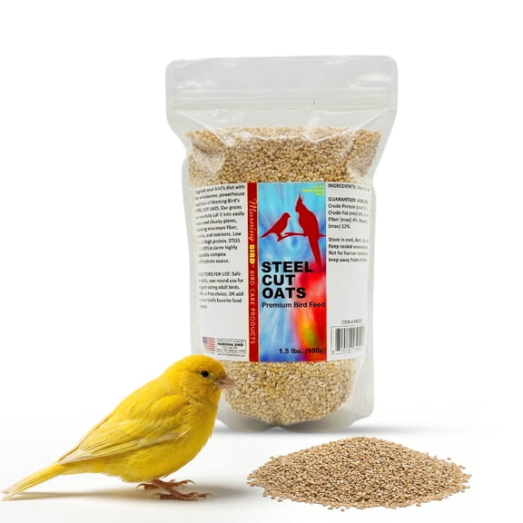 Morning Bird Steel Cut Oats 1.5 lbs  Natural Oat Grain for Birds with Protein, Vitamins & Minerals