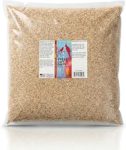 Morning Bird Steel Cut Oats 9 lbs – High Protein Natural Cut Oat Grain for Birds & Easy-to-Eat Pieces - Supports Balanced Nutrition with Vitamins and Minerals for Daily Feeding