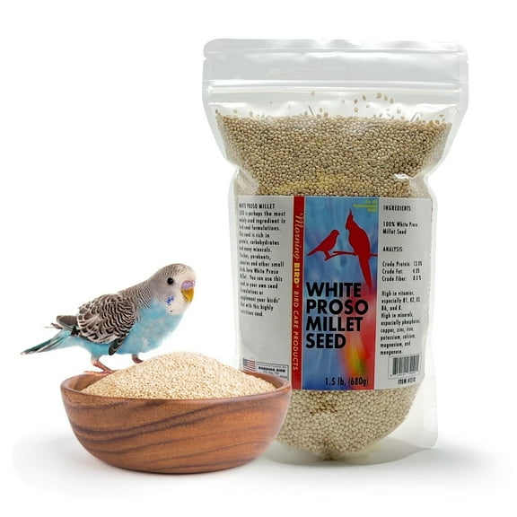 Morning Bird White Proso Millet Bird Seeds 1.5 lbs – Healthy & Nutritious Pet Bird Food - Bird Seeds for Feather Growth – Perfect for Finches, Parakeets & Other All Pet Birds
