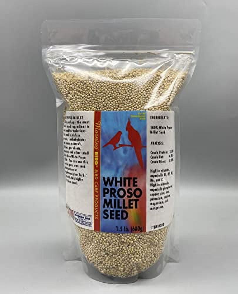 Morning Bird White Proso Millet Seed, Healthy Bird Food, Nutritious