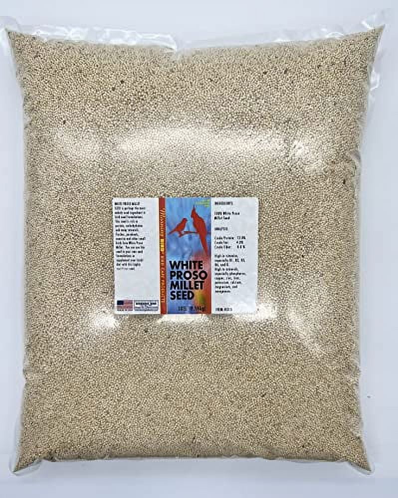 Morning Bird White Proso Millet Seed, Healthy Bird Food, Nutritious