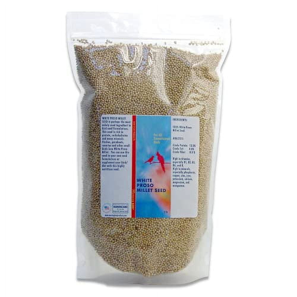 Morning Bird White Proso Millet Seed, Healthy Bird Food, Nutritious