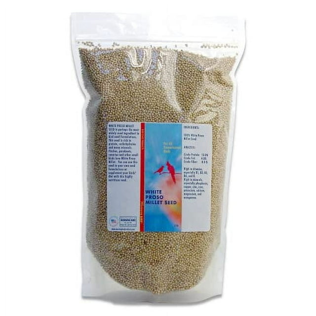 Morning Bird White Proso Millet Seed, Healthy Bird Food, Nutritious