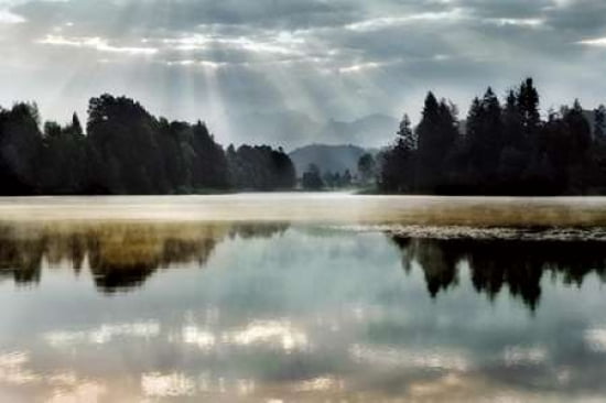 Morning Bliss I Canvas Art - Irene Weisz (24 x 36)