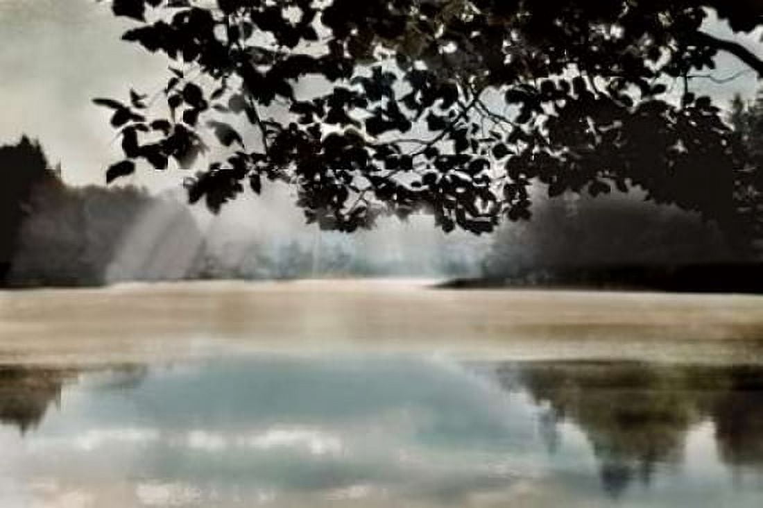 Morning Bliss II Canvas Art - Irene Weisz (24 x 36)