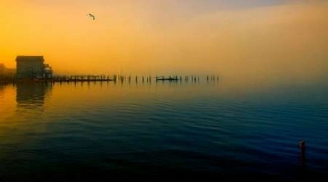 Morning Comes on The Bay Canvas Art - John Rivera (24 x 36)