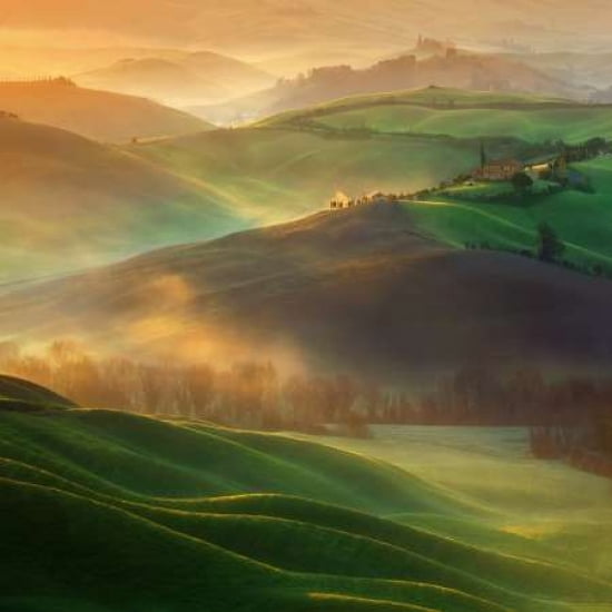 Morning Dreams Canvas Art - Krzysztof Browko (24 x 24)