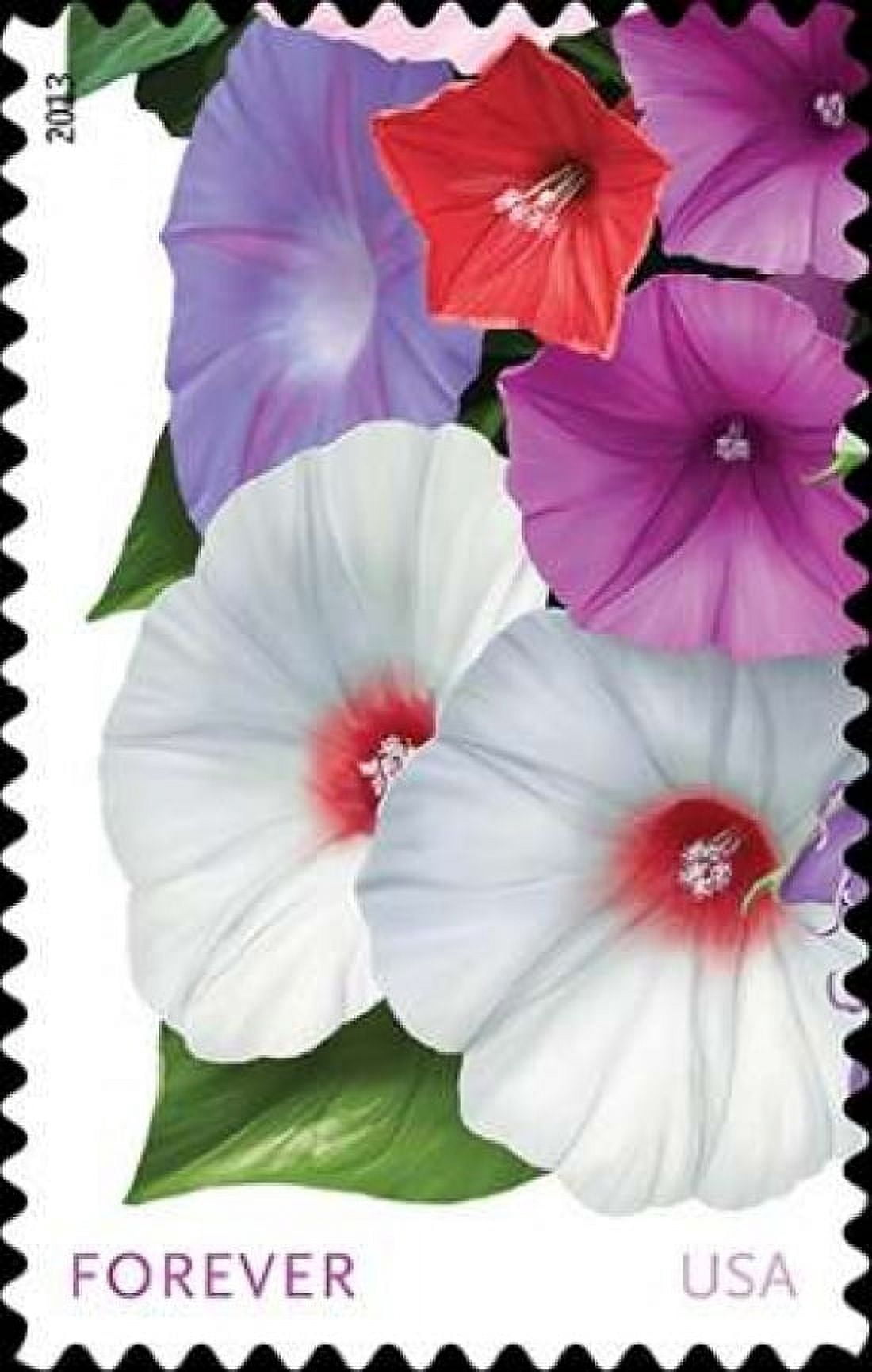 Morning Glories Canvas Art - US POSTAL SERVICE (24 x 36)