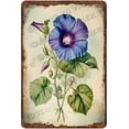 thumbnail image 1 of Morning Glory Flowers Vintage Aluminum Tin Sign French Botanical Print for Home Office Kitchen Bar Cafe Garden Wall Decor 12x8 Inch, 1 of 6