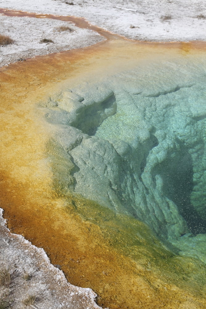 Morning Glory Pool Hot Spring Upper Geyser Basin geothermal area Yellowstone National Park Canvas Art - Richard RoscoeStocktrek Images (23 x 35)