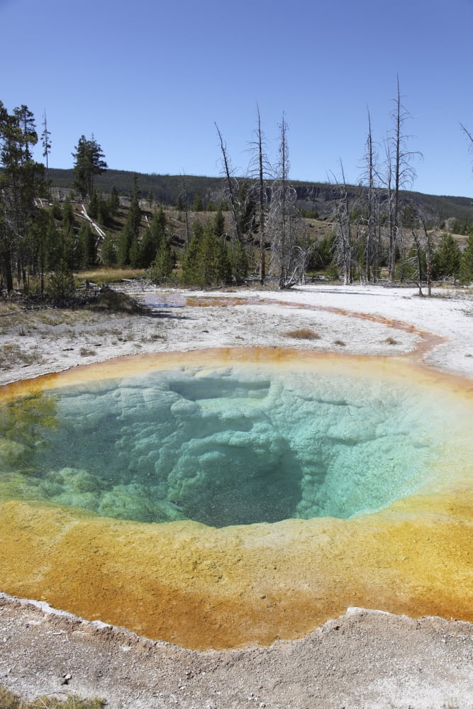 Morning Glory Pool Hot Spring Upper Geyser Basin geothermal area Yellowstone National Park Canvas Art - Richard RoscoeStocktrek Images (23 x 35)