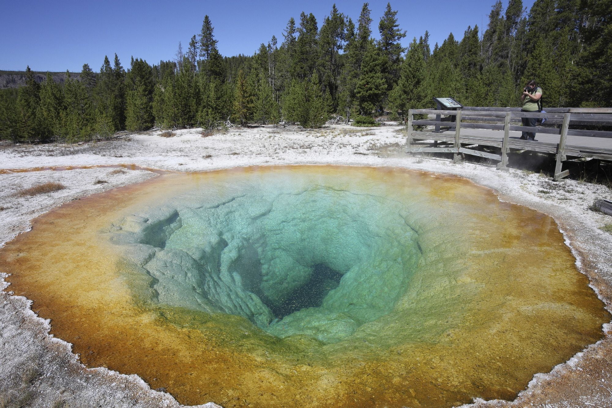 Morning Glory Pool Hot Spring Upper Geyser Basin geothermal area Yellowstone National Park Canvas Art - Richard RoscoeStocktrek Images (35 x 23)