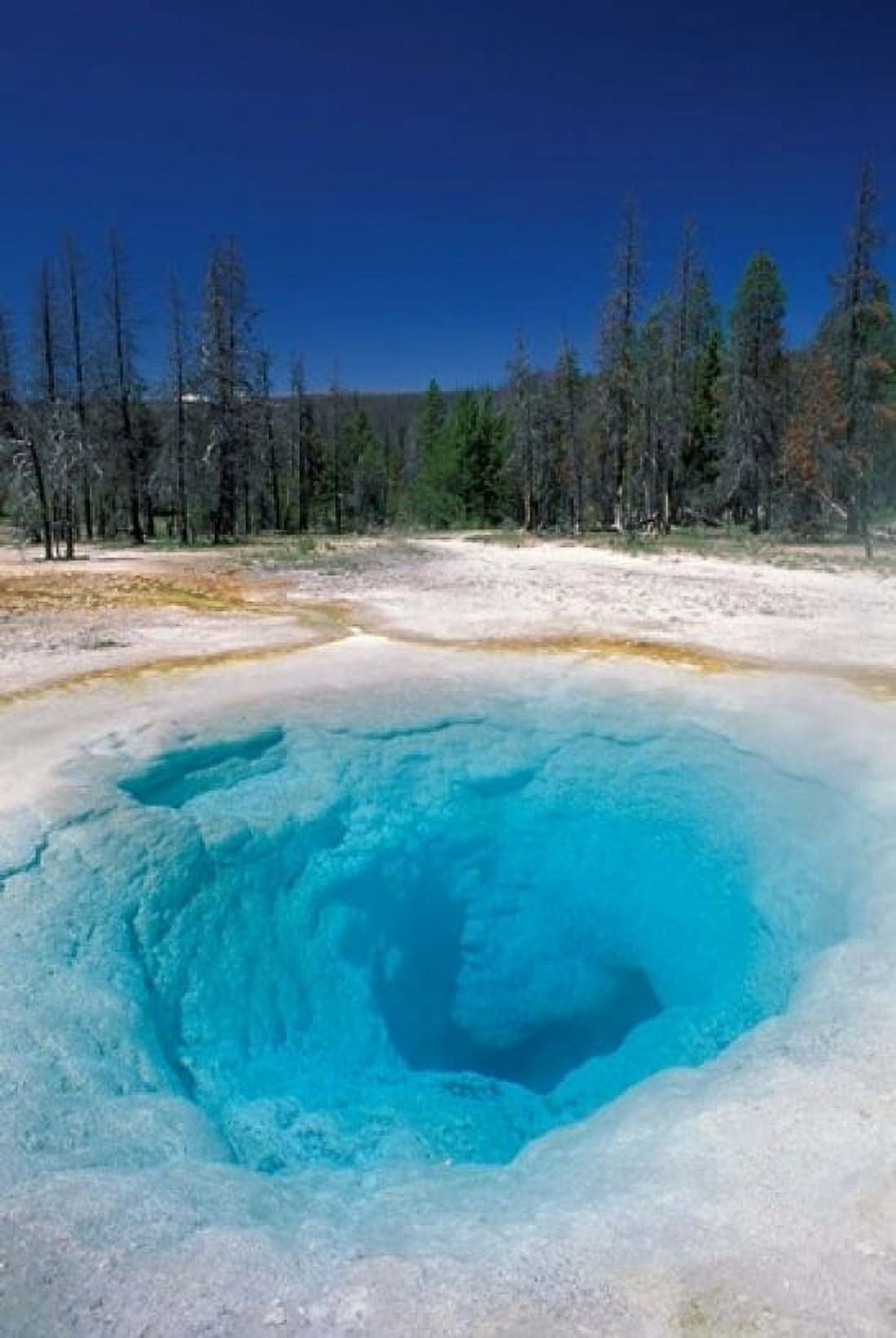 Morning Glory Pool Yellowstone National Park Wyoming Canvas Art - Adam Jones DanitaDelimont (24 x 36)