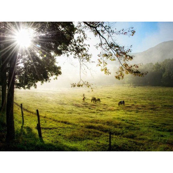 Morning Graze I Poster Print - Danny Head (24 x 18)
