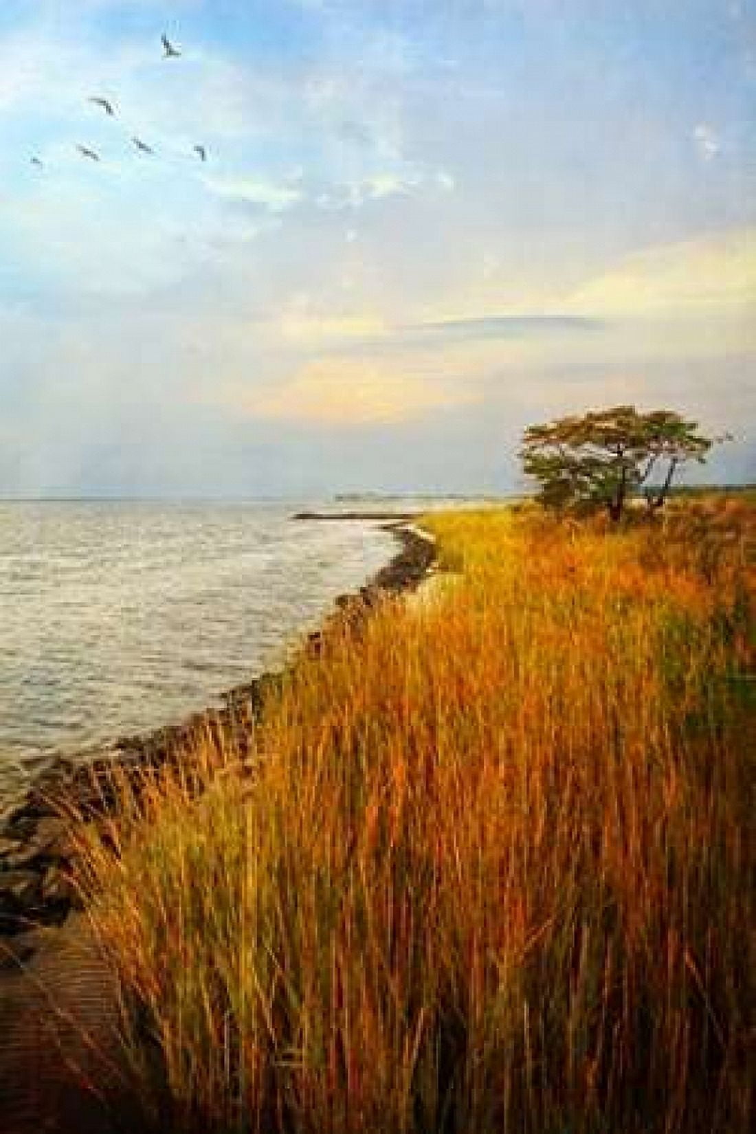 Morning Has Broken Canvas Art - John Rivera (12 x 18)
