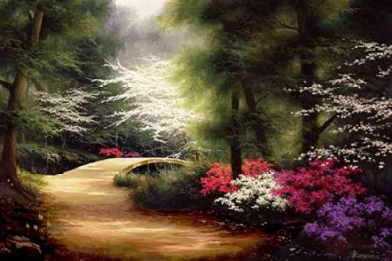 Morning Lace Canvas Art - Egidio Antonaccio (24 x 36)