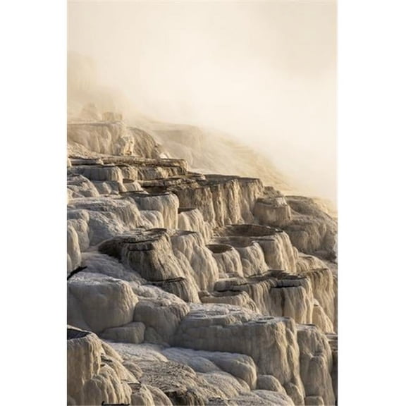 Morning Light Burns Through Heavy Steam At Mammoth Springs Yellowstone National Park - Wyoming United States of America 1 Poster Print by Carl Johnson - 12 x 19