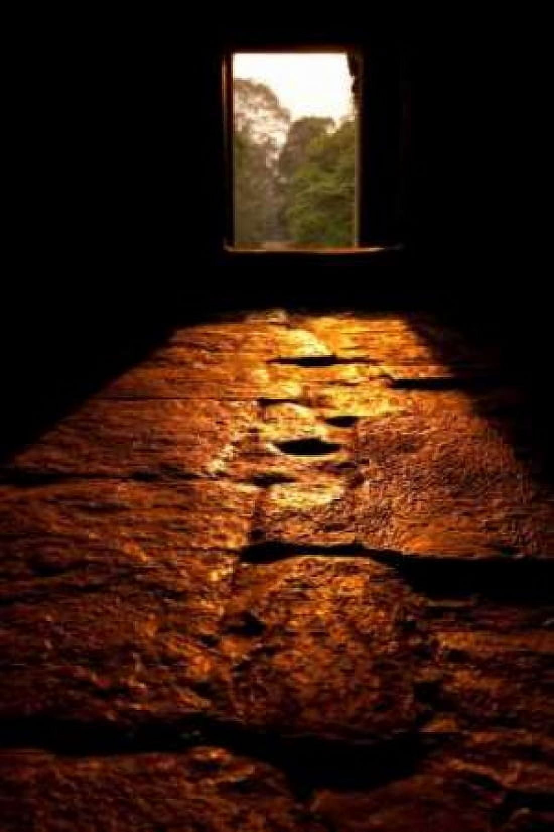 Morning Light II Canvas Art - Erin Berzel (24 x 36)