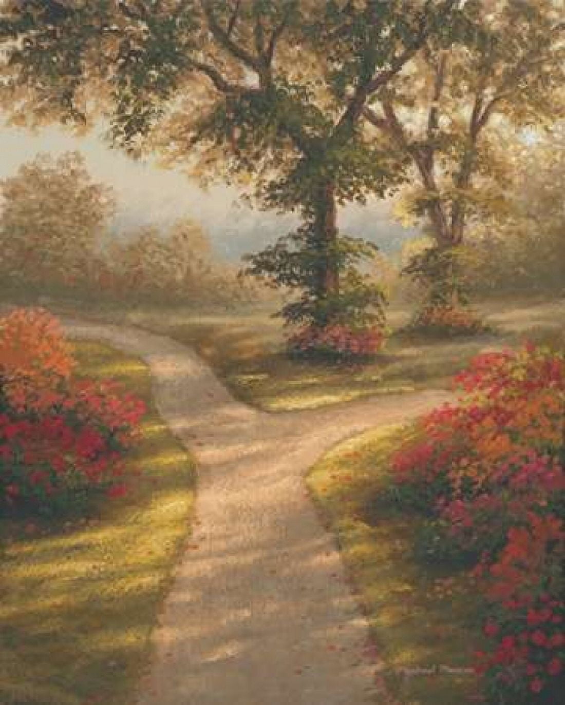 Morning Light II Canvas Art - Michael Marcon (20 x 24)