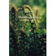 thumbnail image 1 of Morning Light, (Paperback), 1 of 1