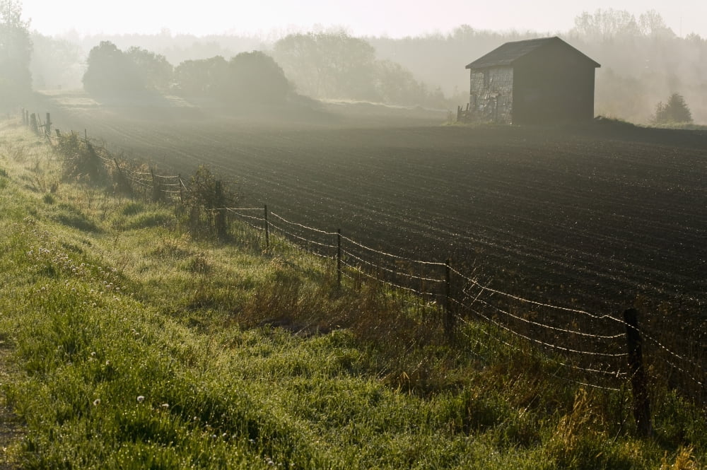 Morning Mist Over Field And Outbuilding Bradford Ontario Canvas Art - Jim Craigmyle Design Pics (34 x 22)