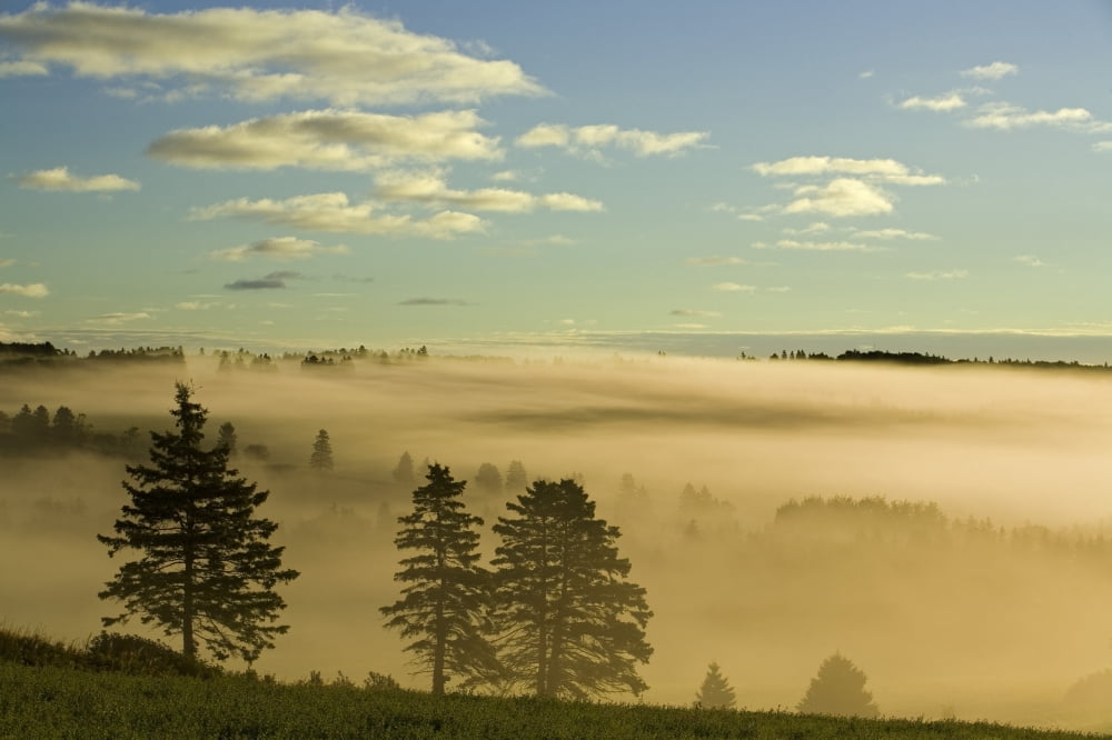 Morning Mist Over Trees New Glasgow Prince Edward Island Canvas Art - John Sylvester Design Pics (34 x 22)