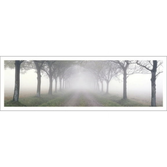 Morning Mist Trees Nature Scenic Landscape Poster 12 x 36 inches