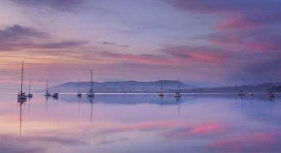 Morning Mood Canvas Art - Max Witjes (24 x 36)