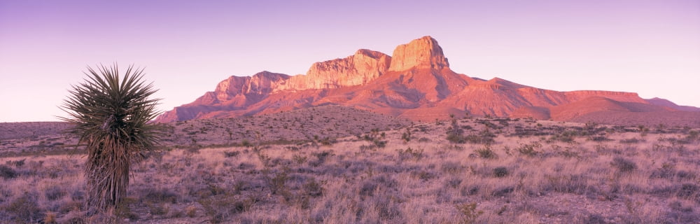 Morning Mountain National Park Guadalupe Mountains Texas United States Canvas Art - Panoramic Images (27 x 9)