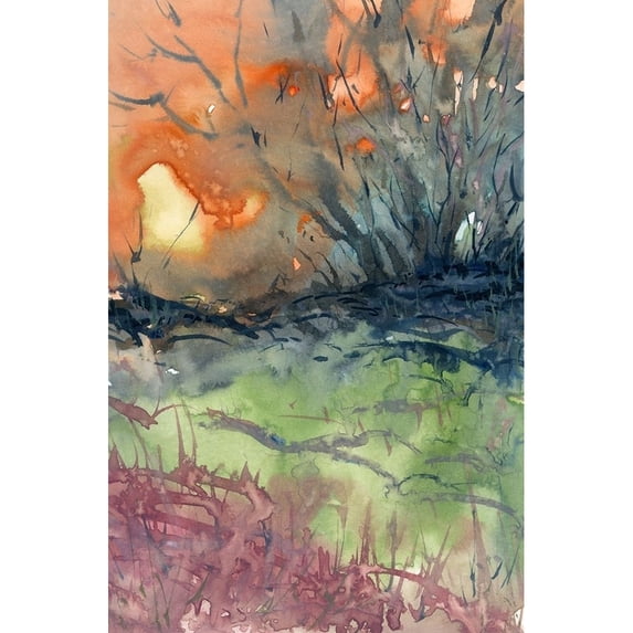 Morning Rays Poster Print by Randy Noble