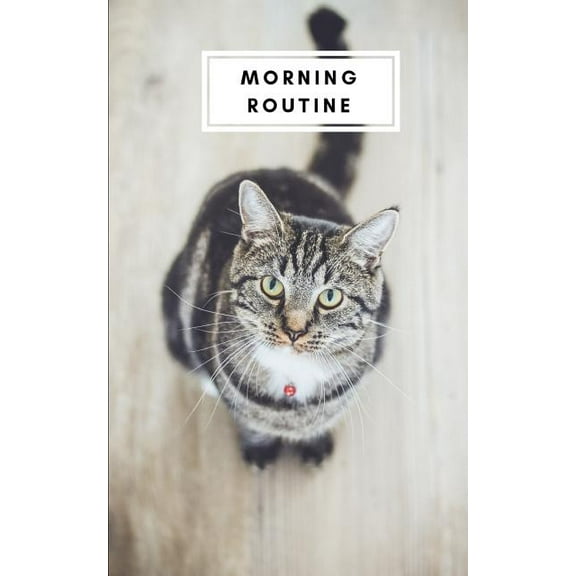 Morning Routine (Paperback)