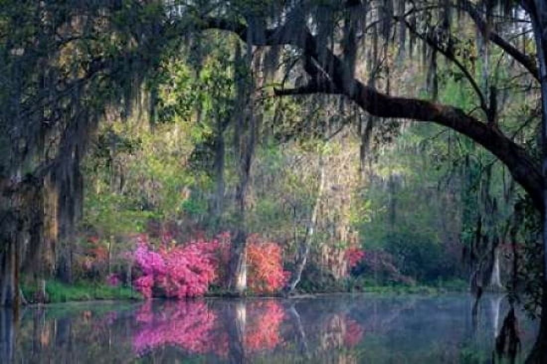 Morning Serenity Canvas Art - HJ Herrera (24 x 36)