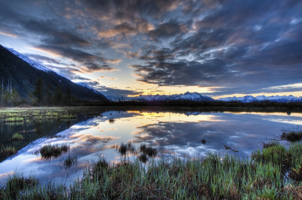 Morning Sky Reflecting On A Pond Near The Copper River Highway Outside Of Cordova Southcentral Alaska Spring Hdr Canvas Art - Carl Johnson Design Pics (38 x 24)