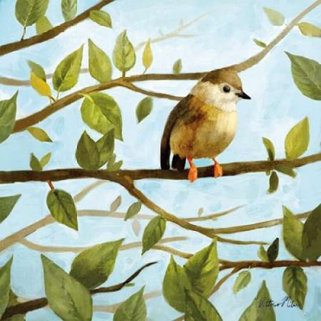 Morning Song I Canvas Art - Vittorio Milan (24 x 24)