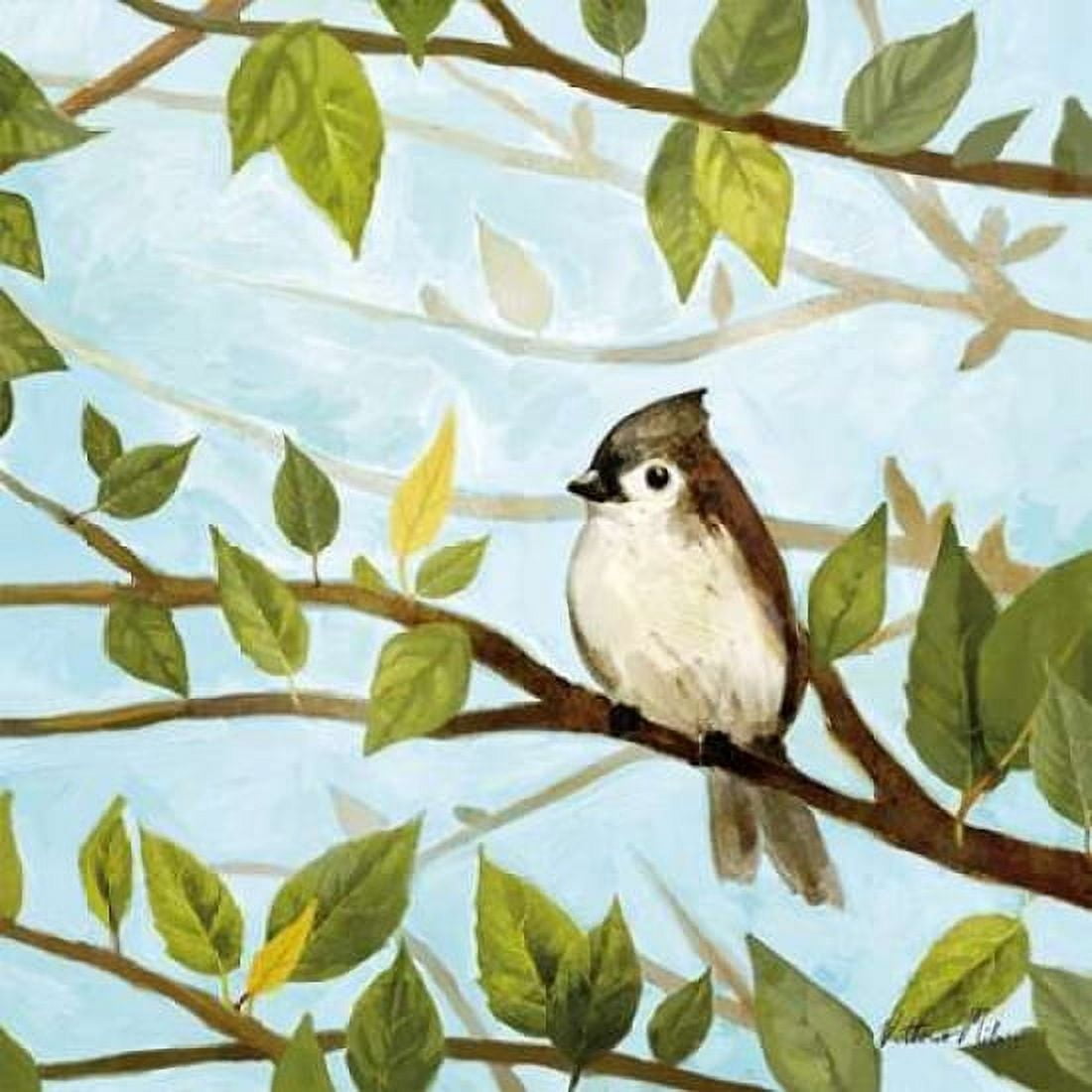 Morning Song II Canvas Art - Vittorio Milan (24 x 24)