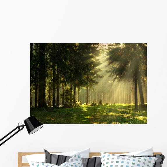 Morning Spring Forest Wall Mural by Wallmonkeys Peel and Stick Graphic (48 in W x 33 in H) WM102523
