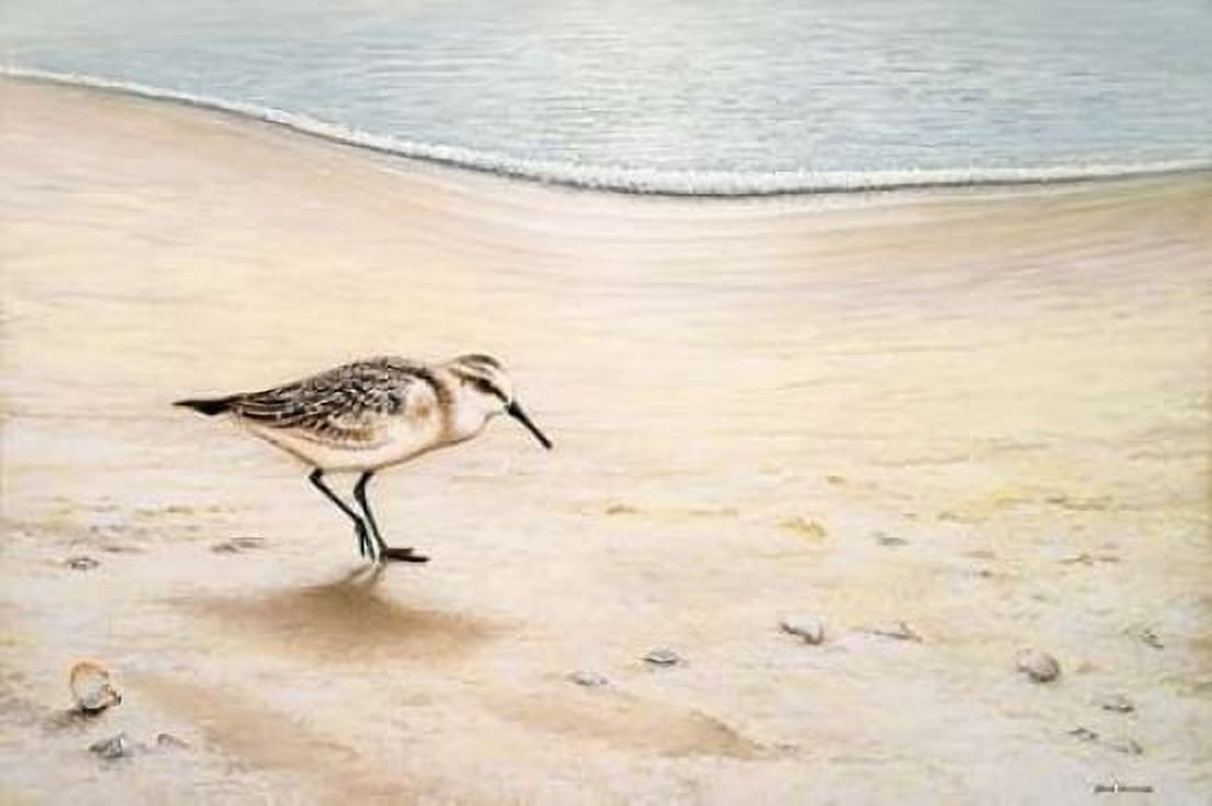 Morning Stroll Canvas Art - Bruce Nawrocke (20 x 28)