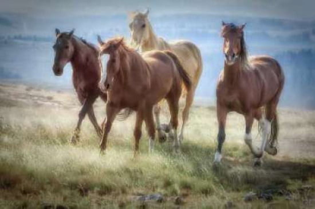 Morning Stroll Canvas Art - Wendy Caro (24 x 36)