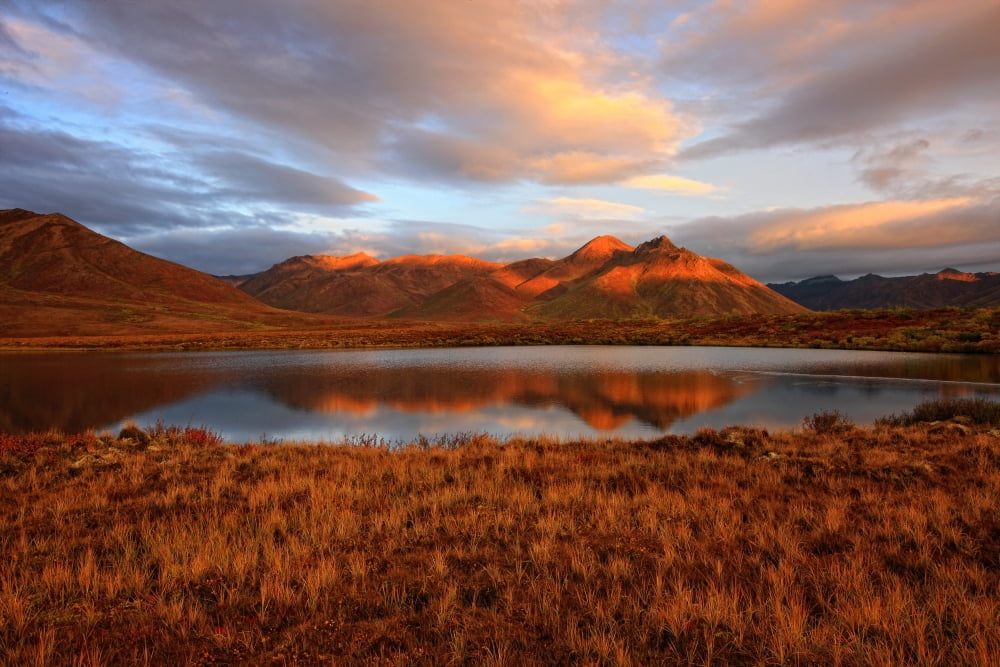 Morning Sunlight On Fall Colours And Mount Adney Reflected Into A Small Pond Along The Dempster Highway Yukon Canvas Art - Robert Postma Design Pics (34 x 22)