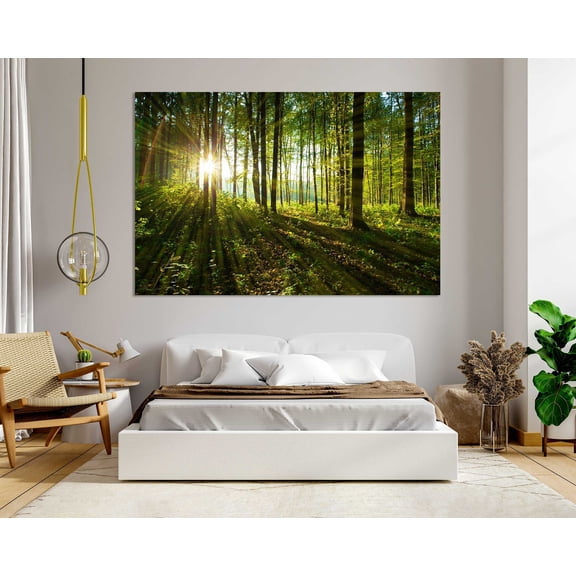 Morning Sunlight Forest Photography Poster Nature Landscape Wall Art , Poster Print Only