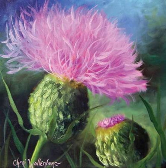 Morning Thistle Canvas Art - Cheri Wollenberg (24 x 24)