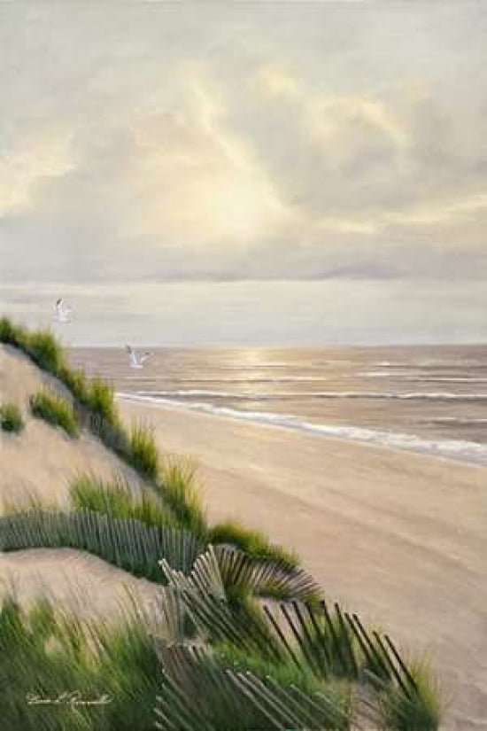 Morning Tide Canvas Art - Diane Romanello (20 x 28)