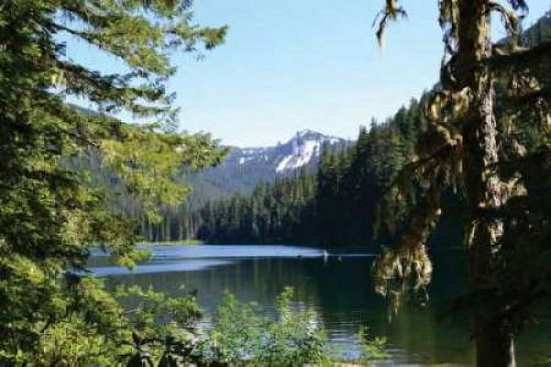 Morning at the Lake III Canvas Art - Brian Moore (24 x 36)